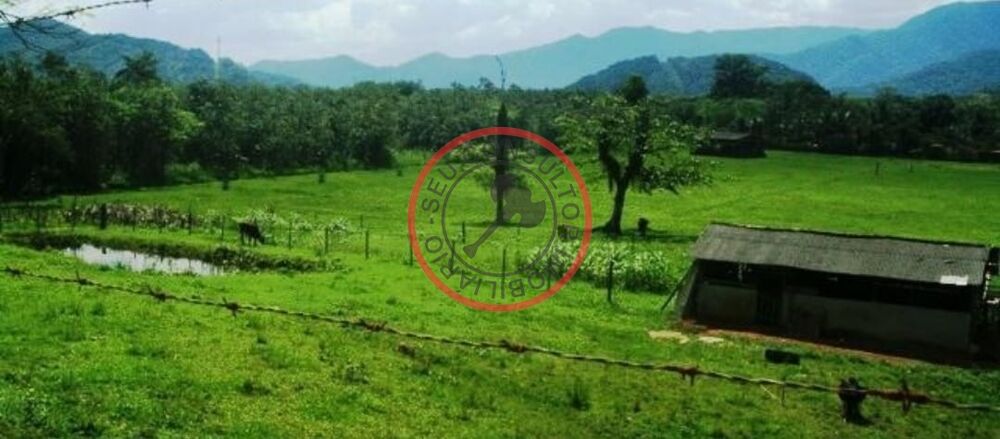 Fazenda, 450 m² - Foto 4