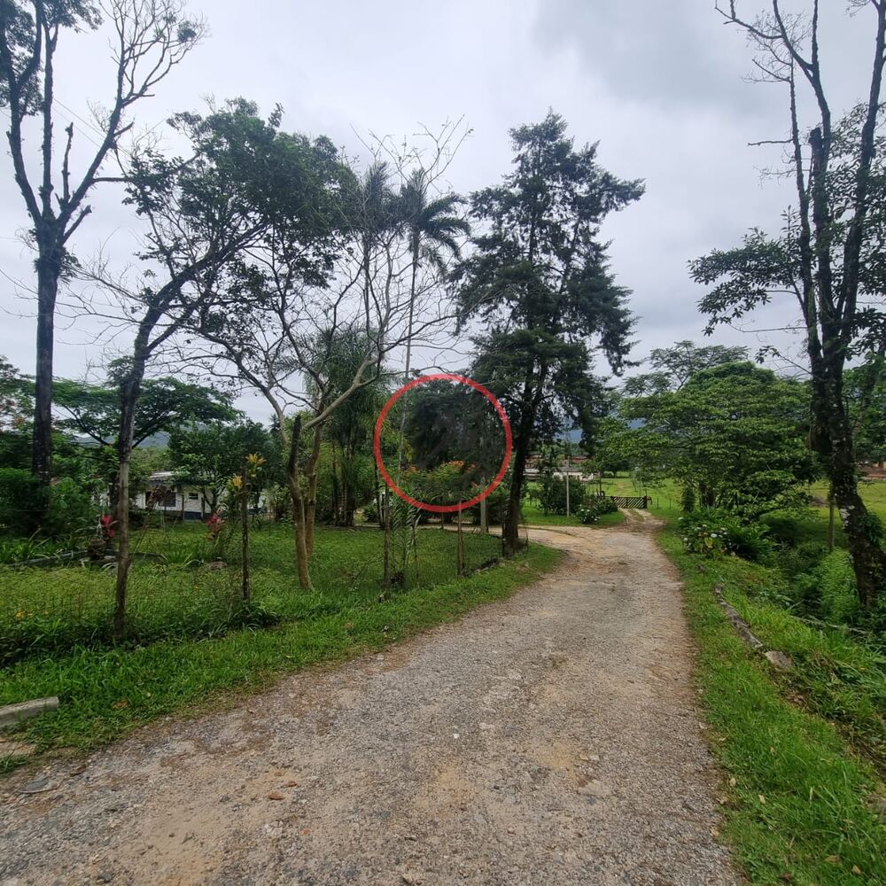 Fazenda, 450 m² - Foto 33