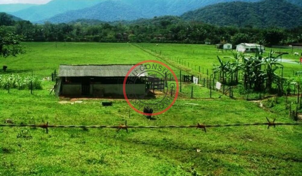 Fazenda, 450 m² - Foto 5