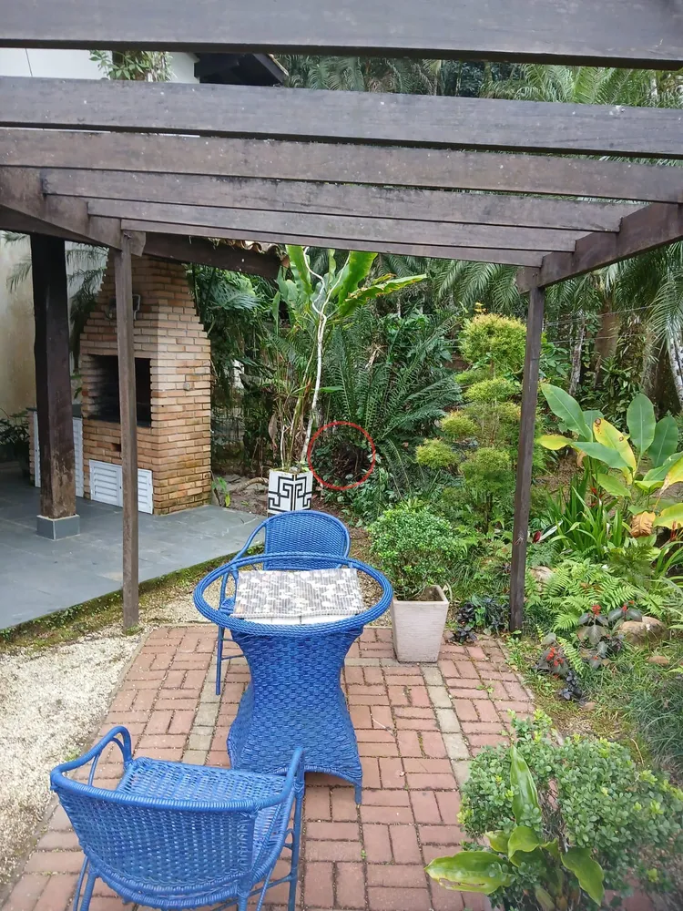Casa, 2 quartos, 70 m² - Foto 12