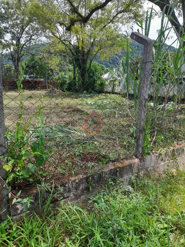 Terreno, 800 m² - Foto 2