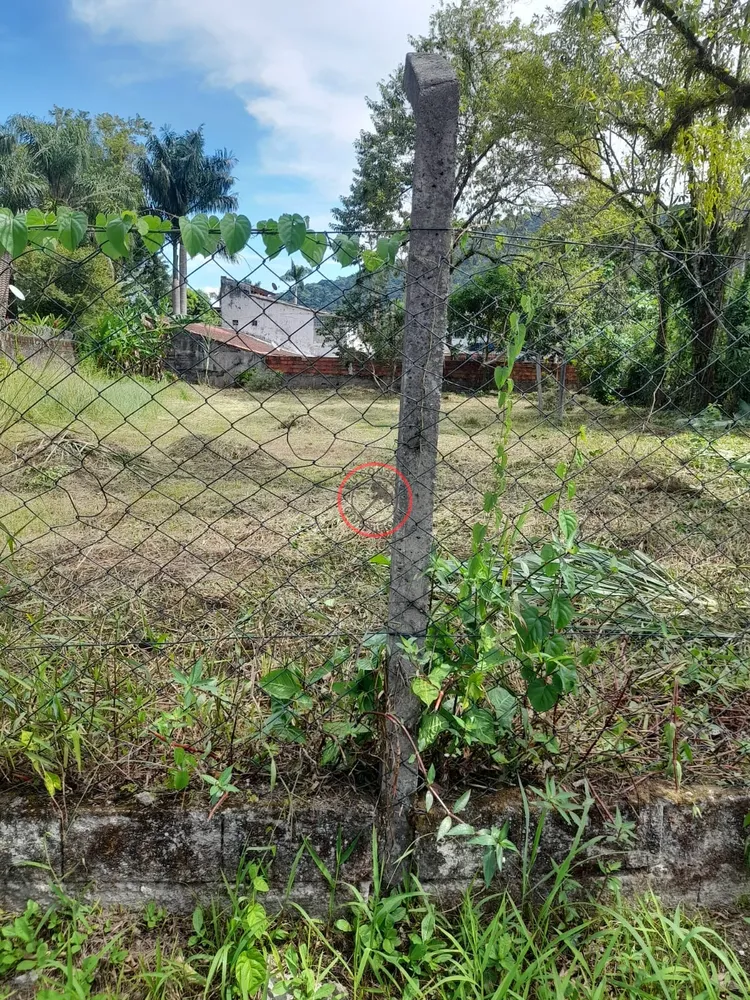Terreno, 800 m² - Foto 3