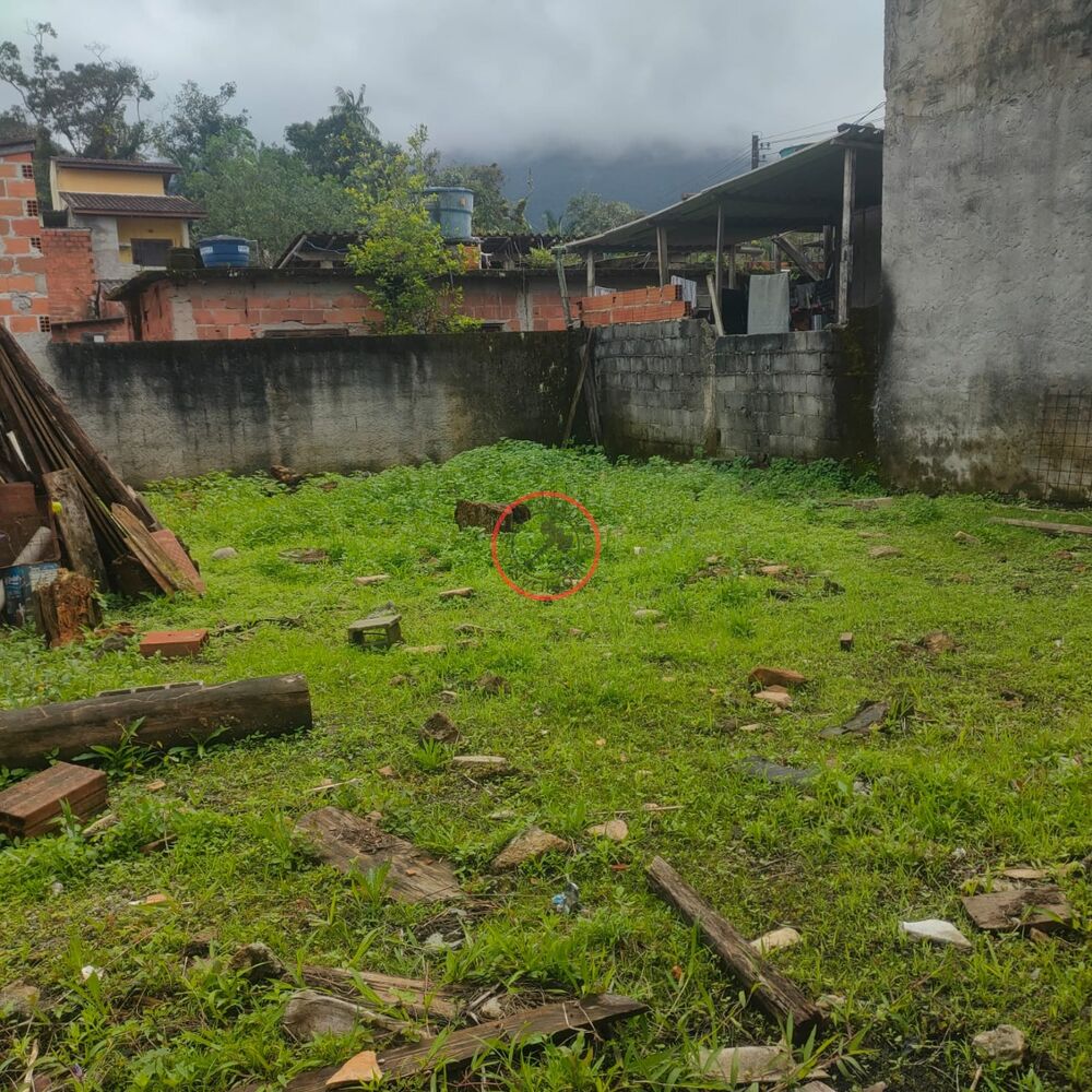 Loteamento e Condomínio, 300 m² - Foto 6