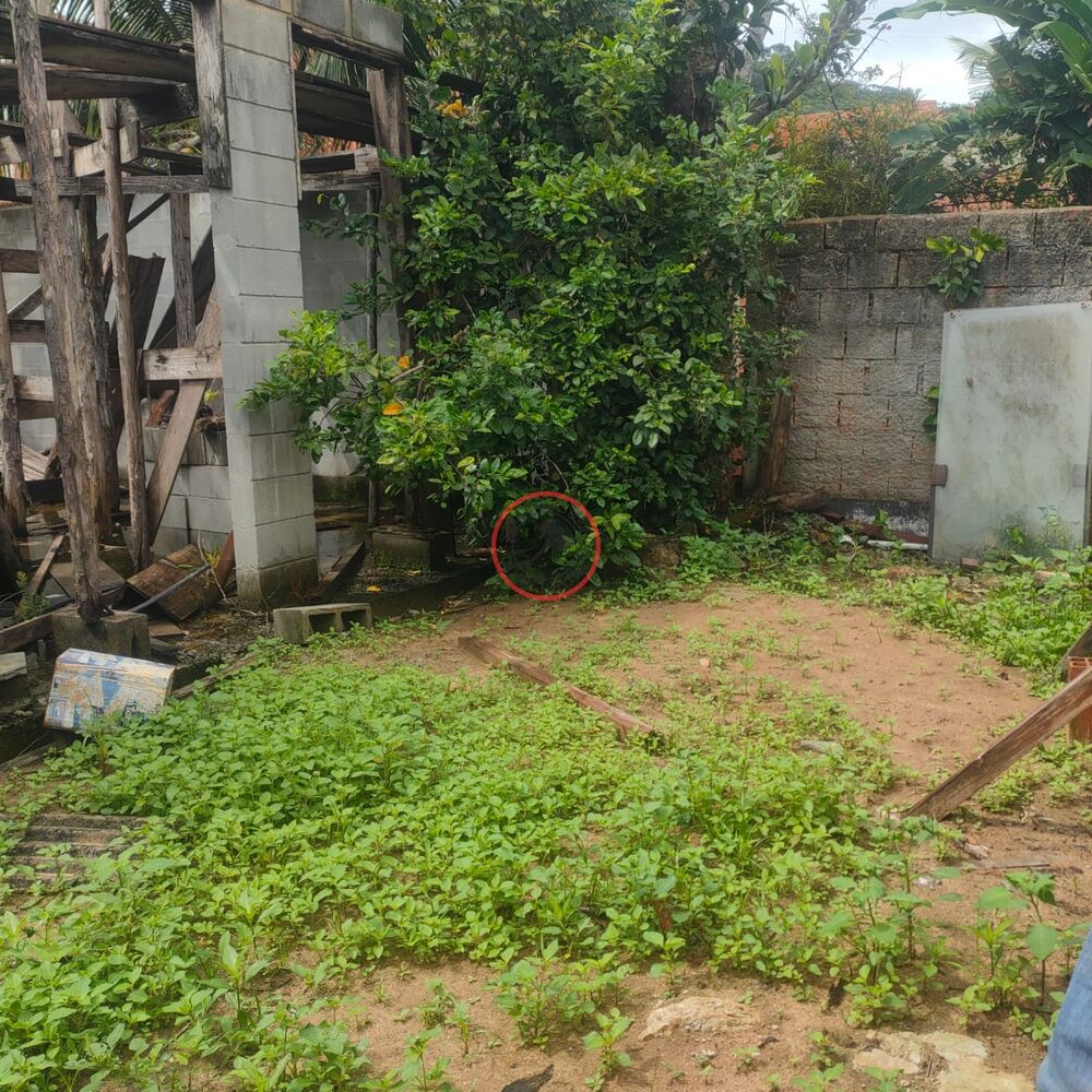 Loteamento e Condomínio, 300 m² - Foto 8