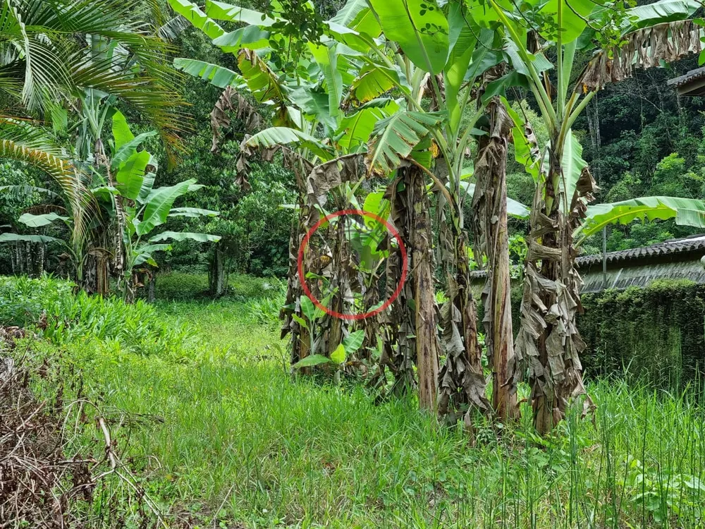 Casa à venda com 3 quartos, 1000m² - Foto 5