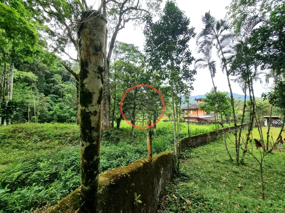 Casa à venda com 3 quartos, 1000m² - Foto 6