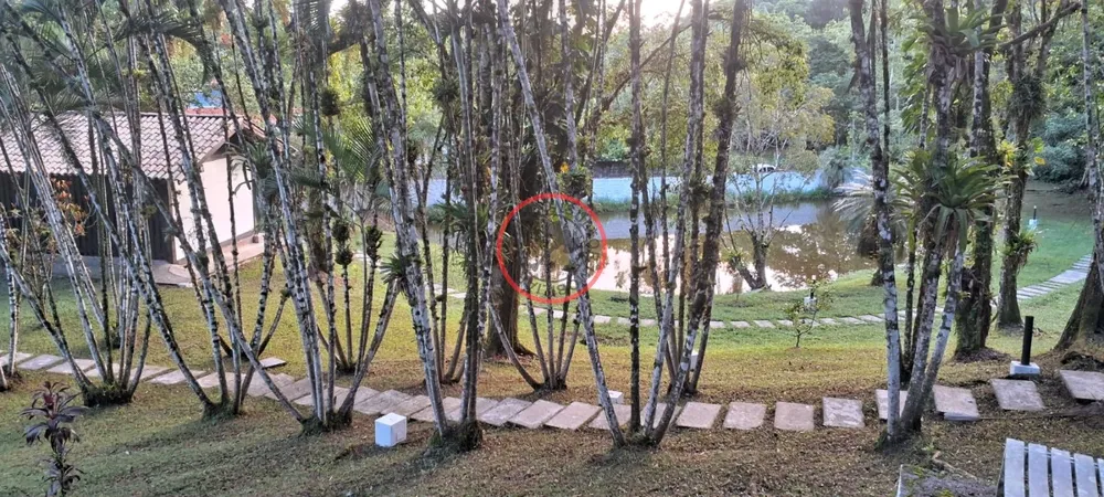 Terreno, 9 hectares - Foto 33