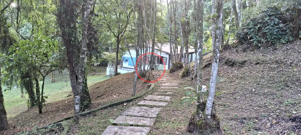 Terreno, 9 hectares - Foto 32