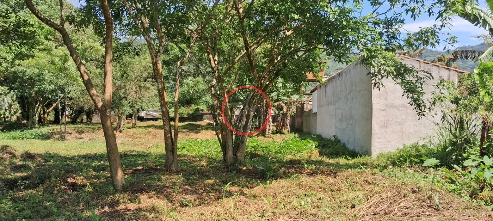 Terreno, 9 hectares - Foto 38