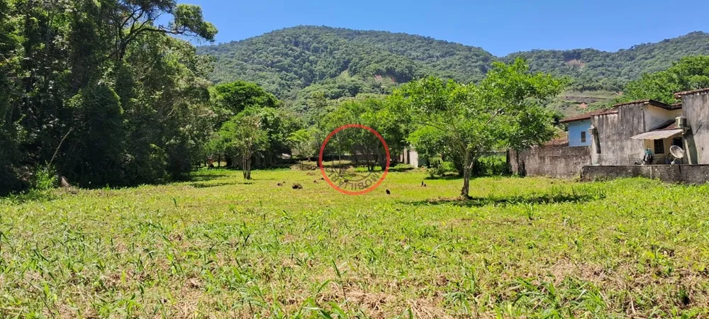 Terreno, 9 hectares - Foto 30
