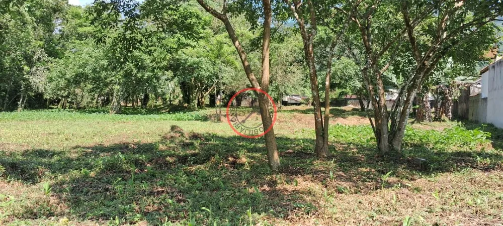 Terreno, 9 hectares - Foto 37
