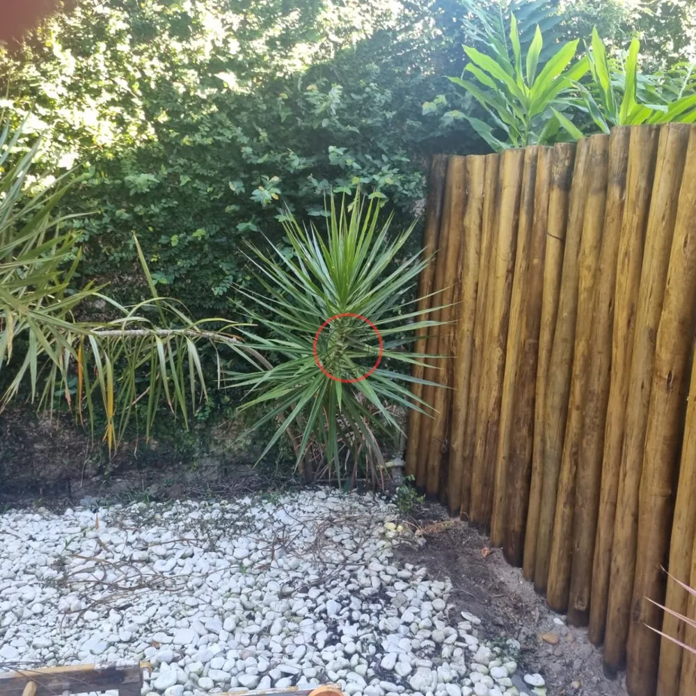 Casa, 2 quartos, 80 m² - Foto 3