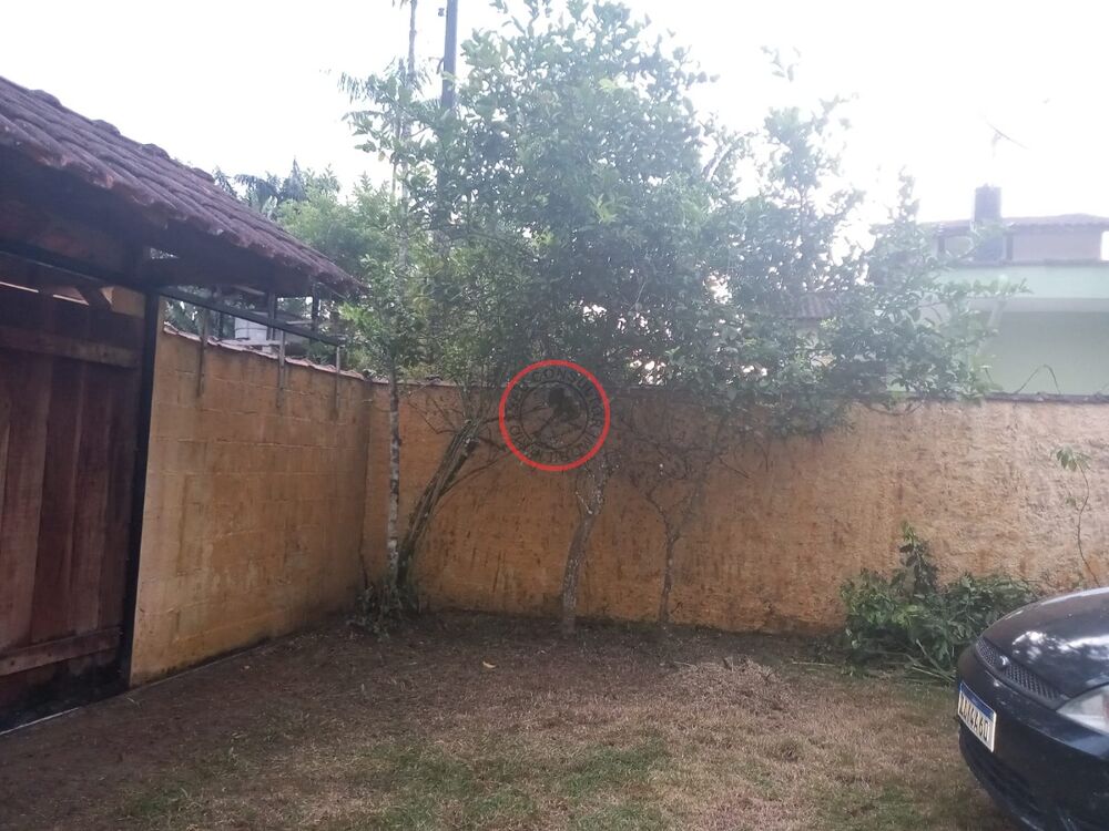 Casa, 4 quartos, 180 m² - Foto 6