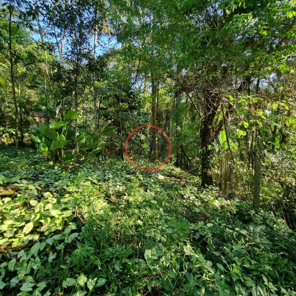 Terreno, 1500 m² - Foto 9