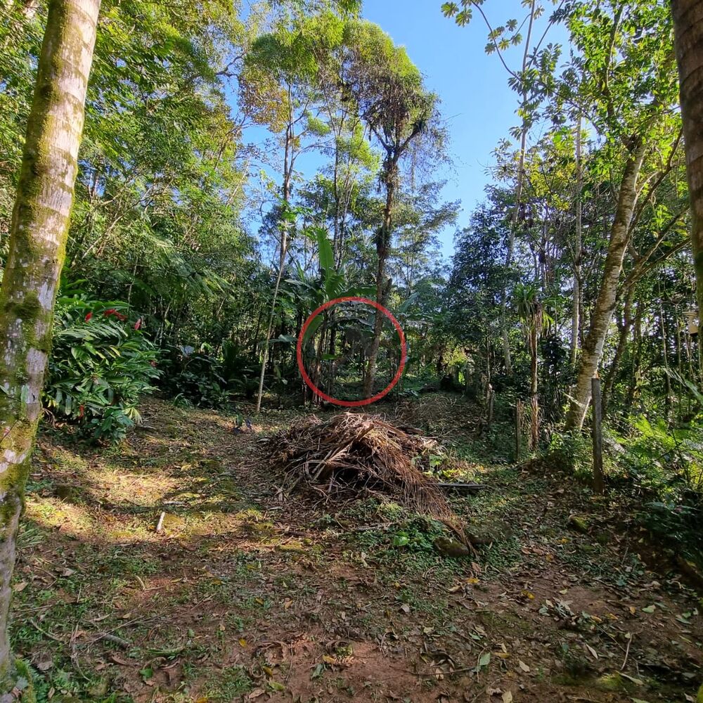 Terreno, 1500 m² - Foto 15