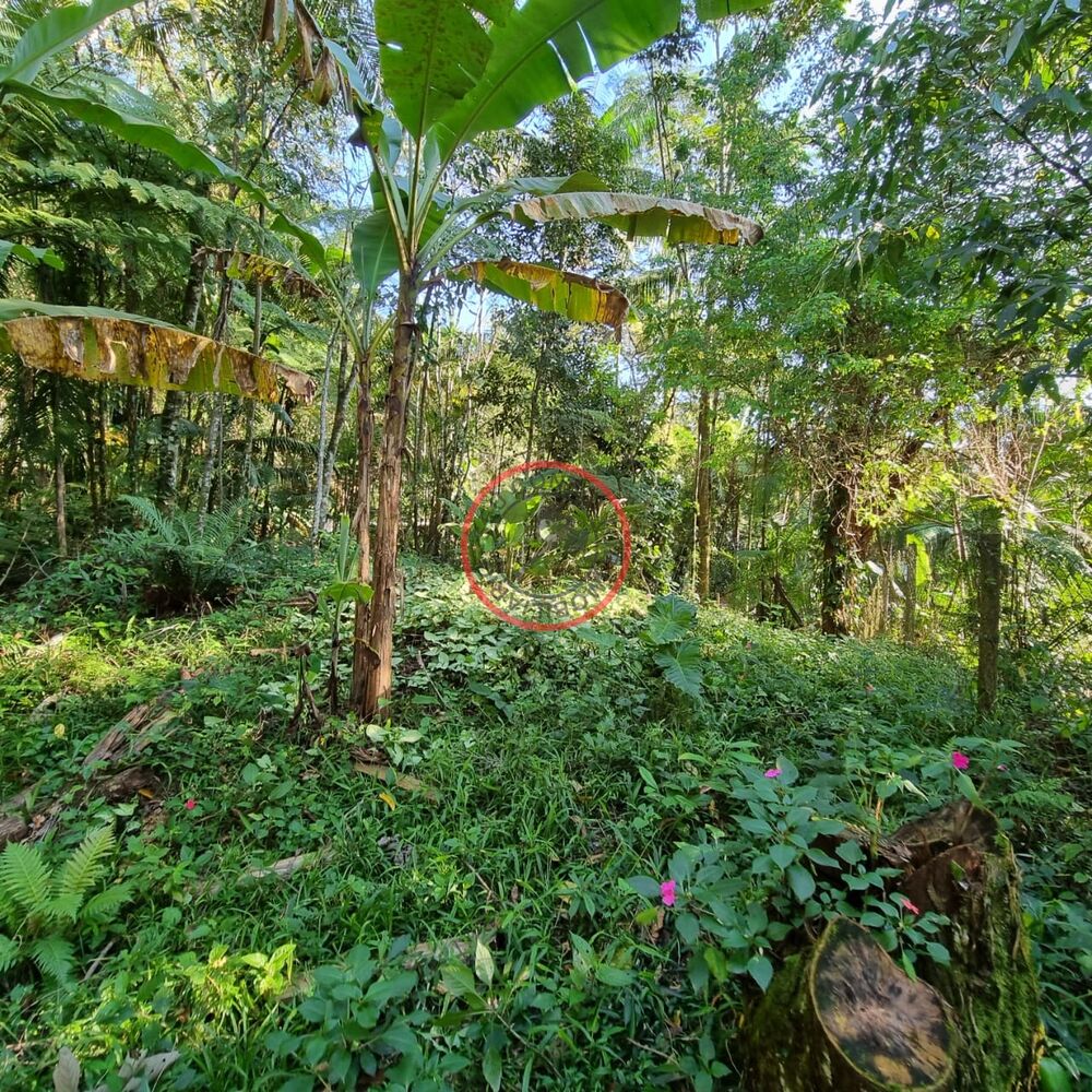 Terreno, 1500 m² - Foto 7