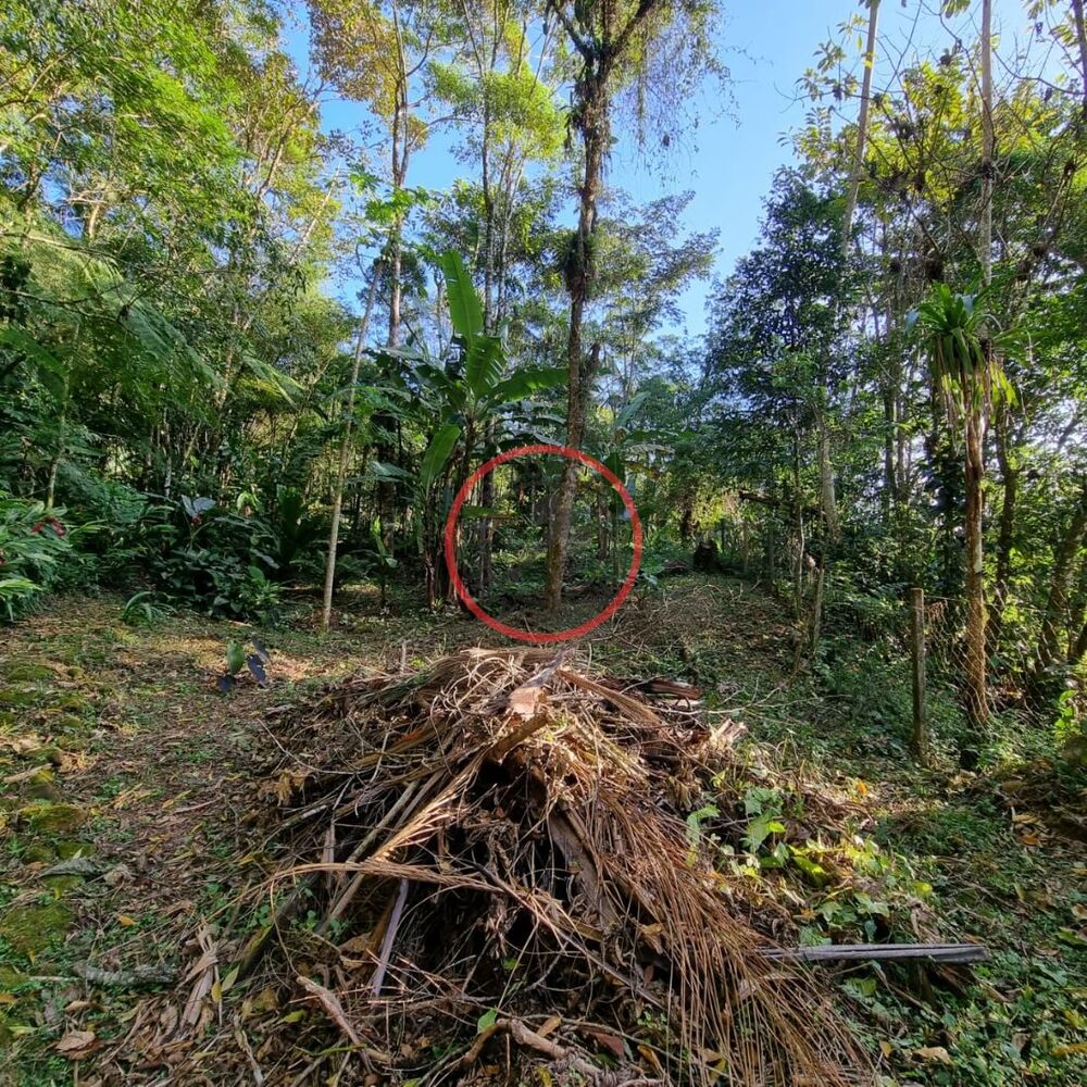 Terreno, 1500 m² - Foto 14