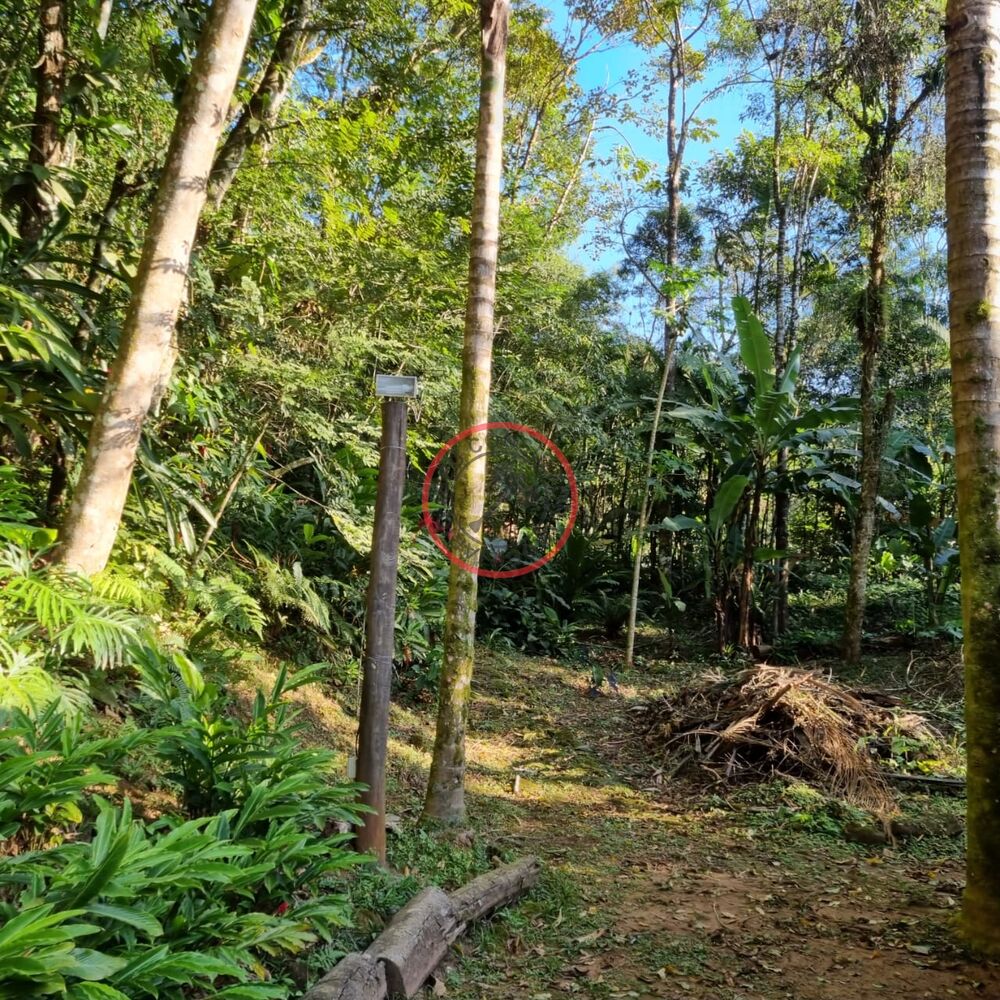 Terreno, 1500 m² - Foto 19