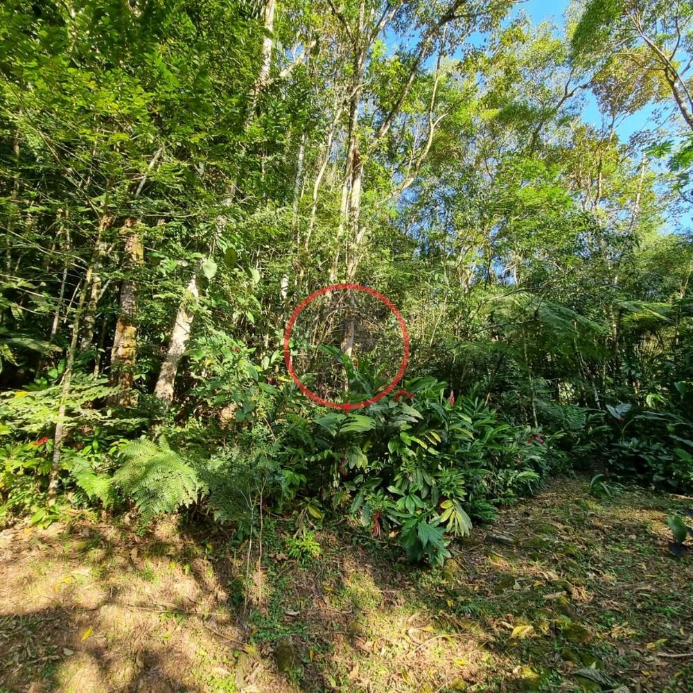 Terreno, 1500 m² - Foto 16