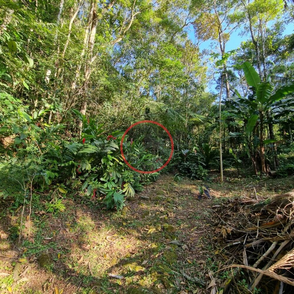 Terreno, 1500 m² - Foto 13