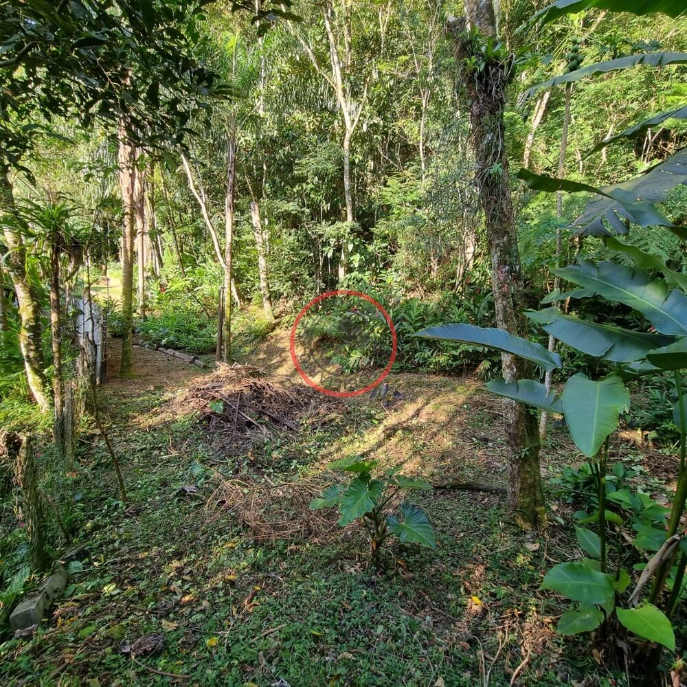 Terreno, 1500 m² - Foto 12