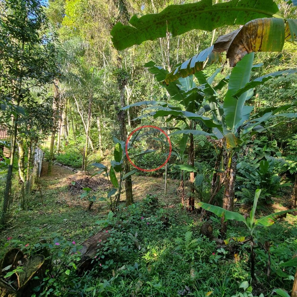 Terreno, 1500 m² - Foto 5