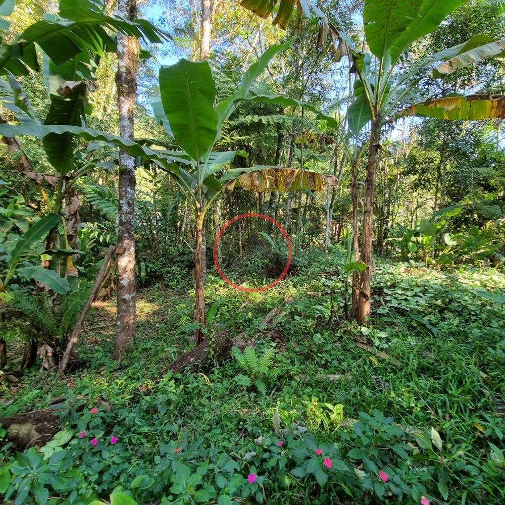 Terreno, 1500 m² - Foto 8