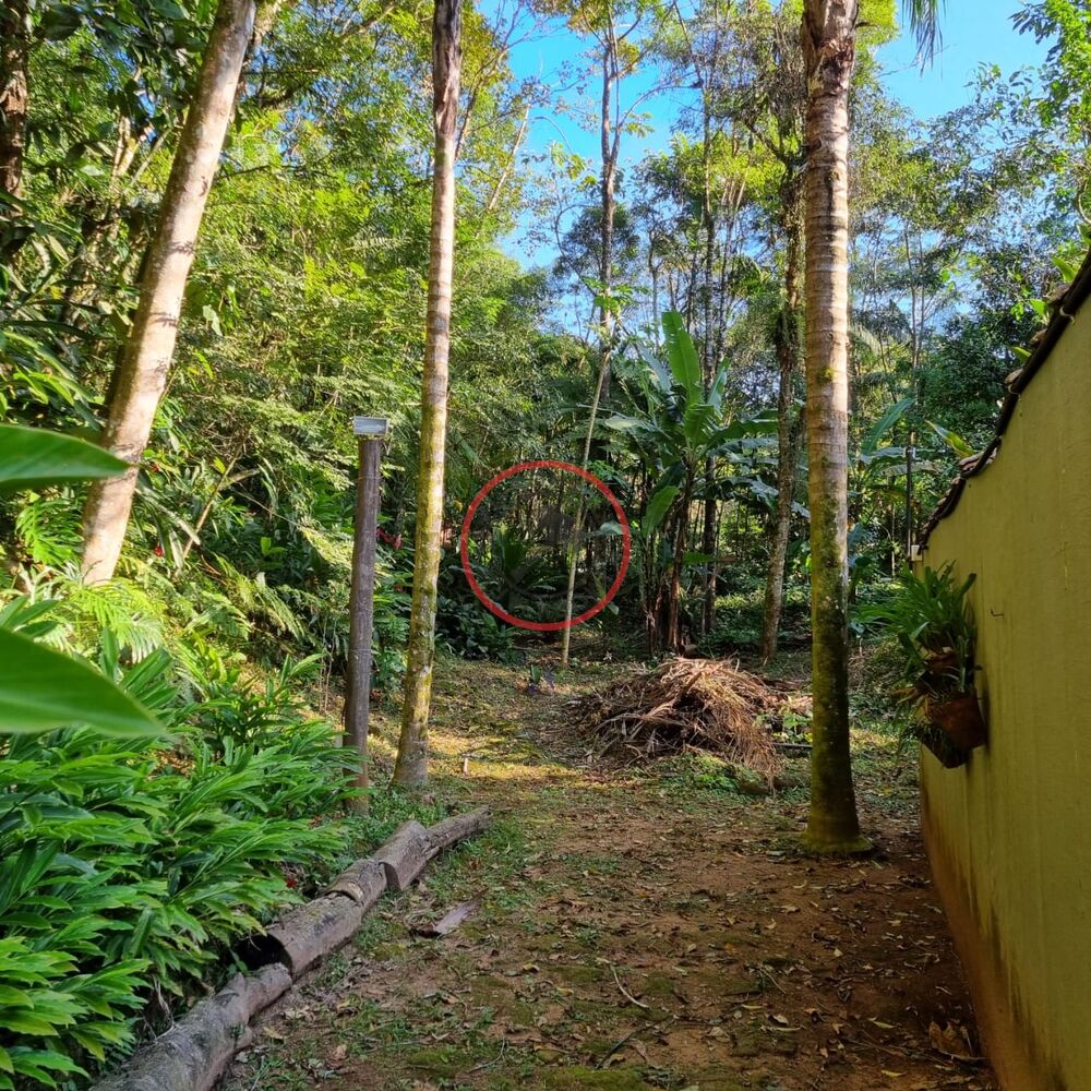 Terreno, 1500 m² - Foto 1