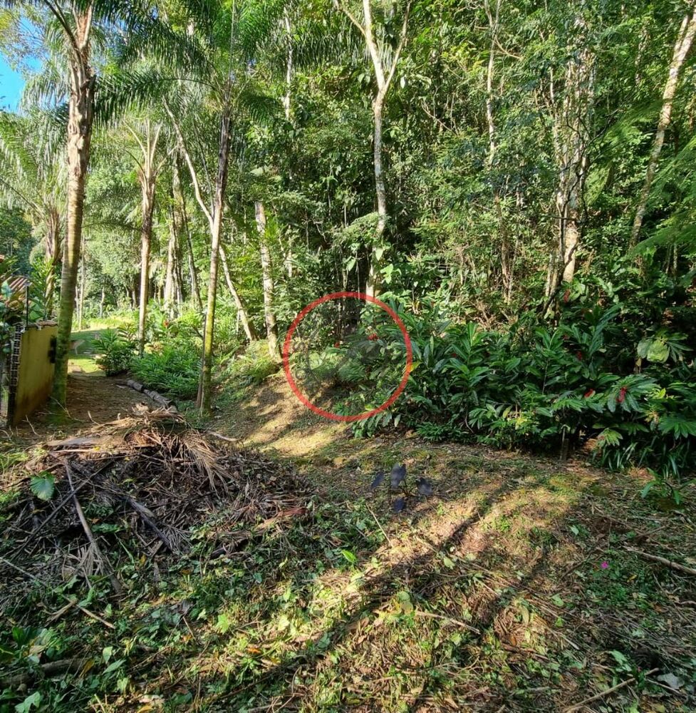 Terreno, 1500 m² - Foto 4