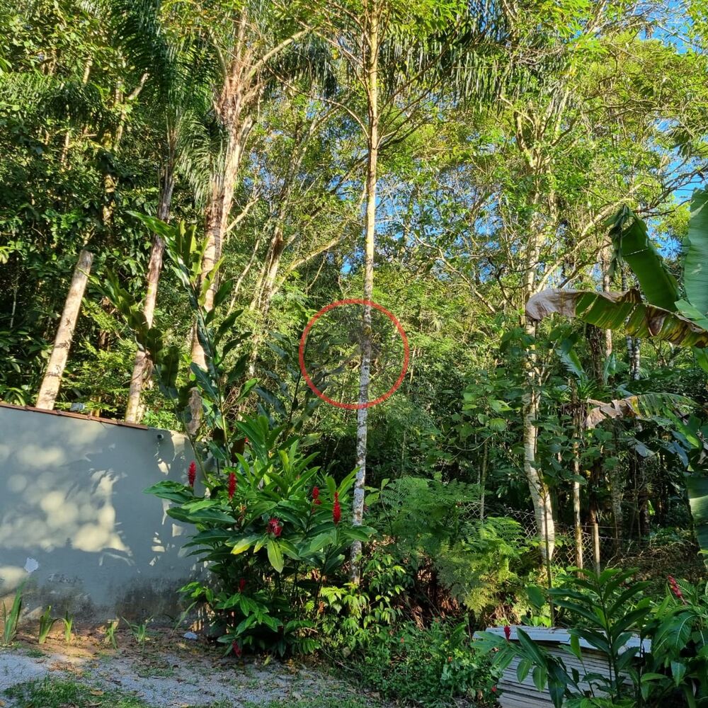 Terreno, 1500 m² - Foto 18