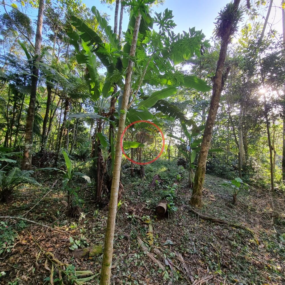 Terreno, 1500 m² - Foto 10