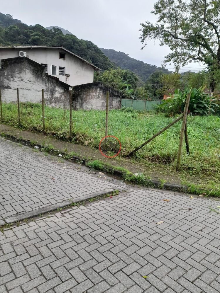 Terreno, 400 m² - Foto 5