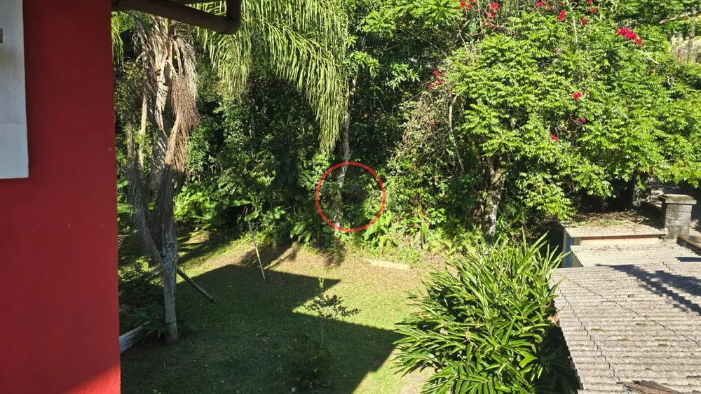 Loja-Salão, 600 m² - Foto 12