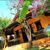 Casa, 2 quartos, 250 m² - Foto 3