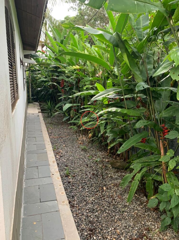 Casa, 3 quartos, 200 m² - Foto 5