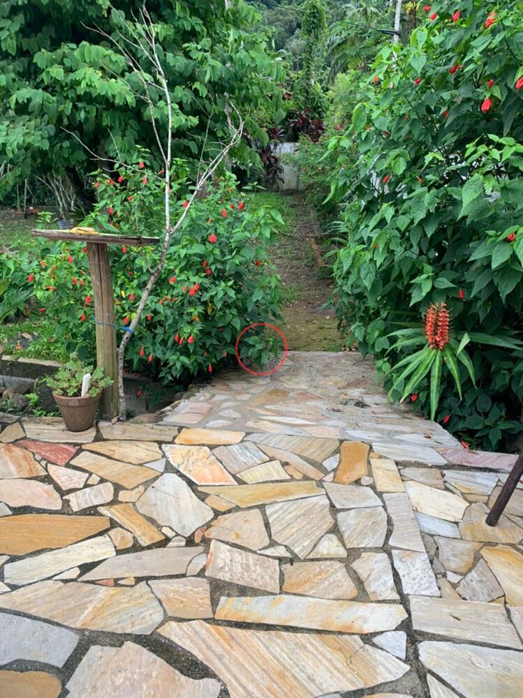 Casa, 3 quartos, 200 m² - Foto 3