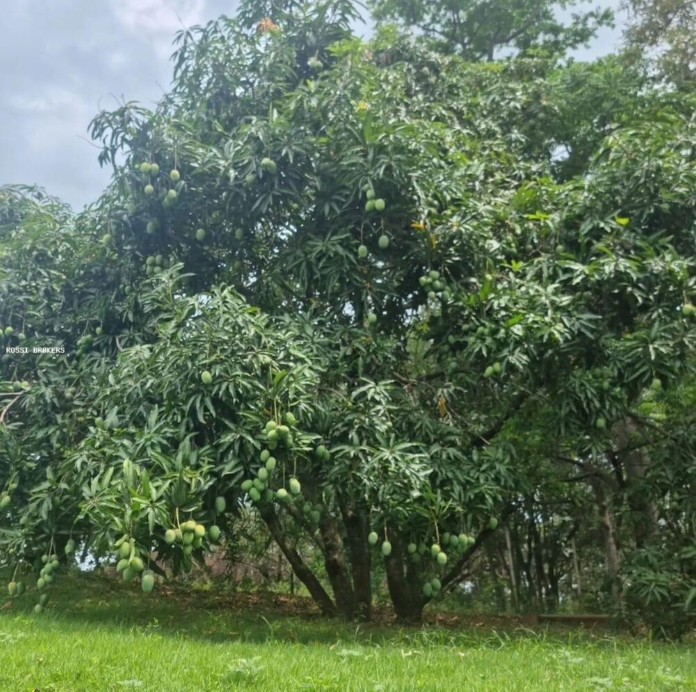 Casa de Condomínio à venda com 5 quartos, 1100m² - Foto 17