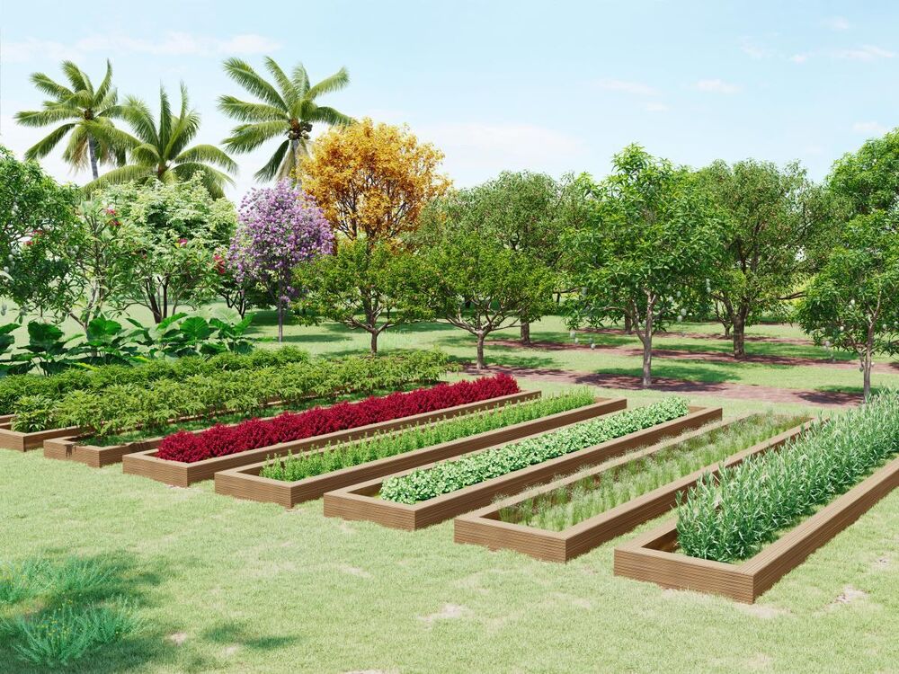 Terreno, 160 m² - Foto 3