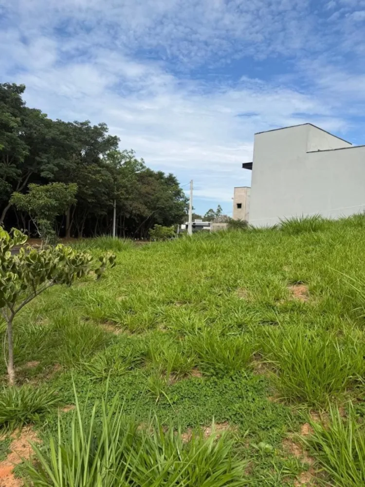 Terreno, 298 m² - Foto 6