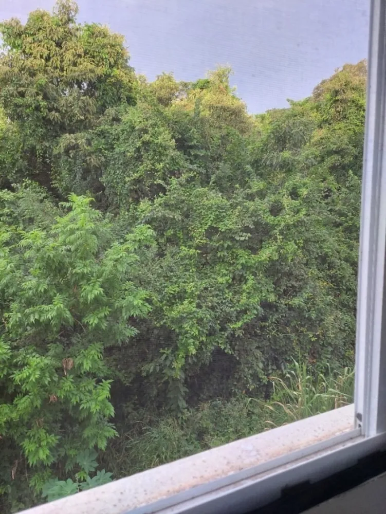 Apartamento, 2 quartos, 66 m² - Foto 12