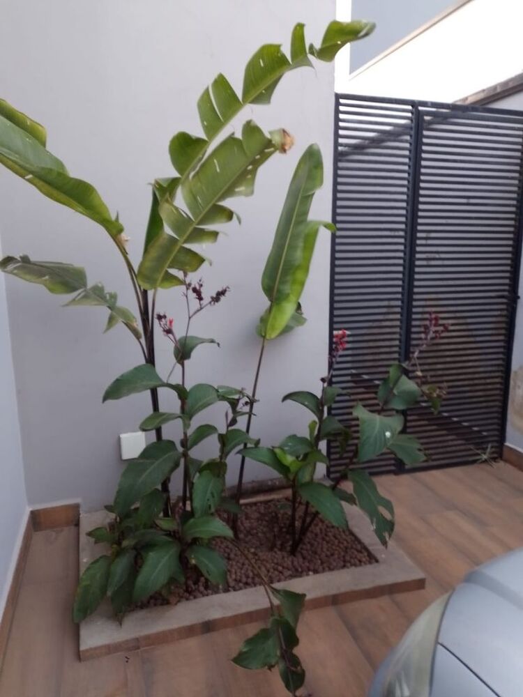 Casa, 2 quartos, 86 m² - Foto 3