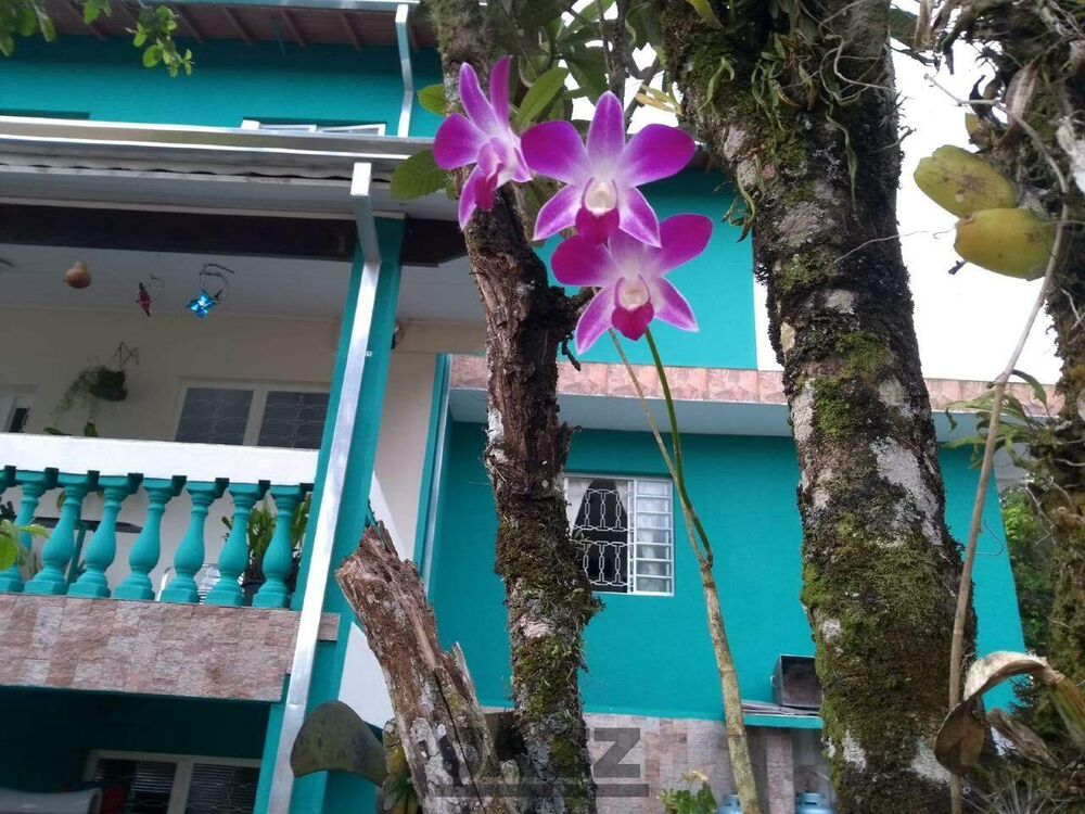 Casa, 3 quartos, 392 m² - Foto 2