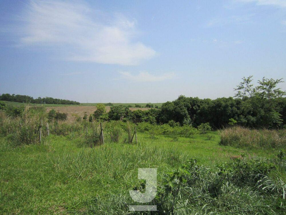 Chácara, 3 quartos, 5 hectares - Foto 4