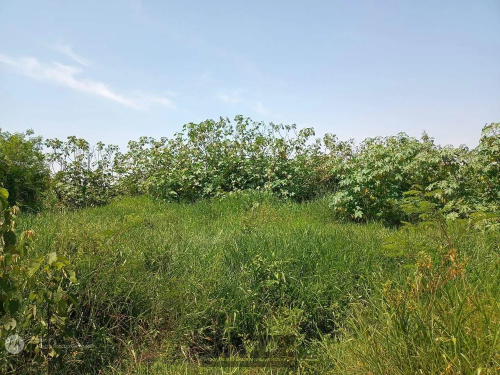 Terreno, 1 hectares - Foto 9