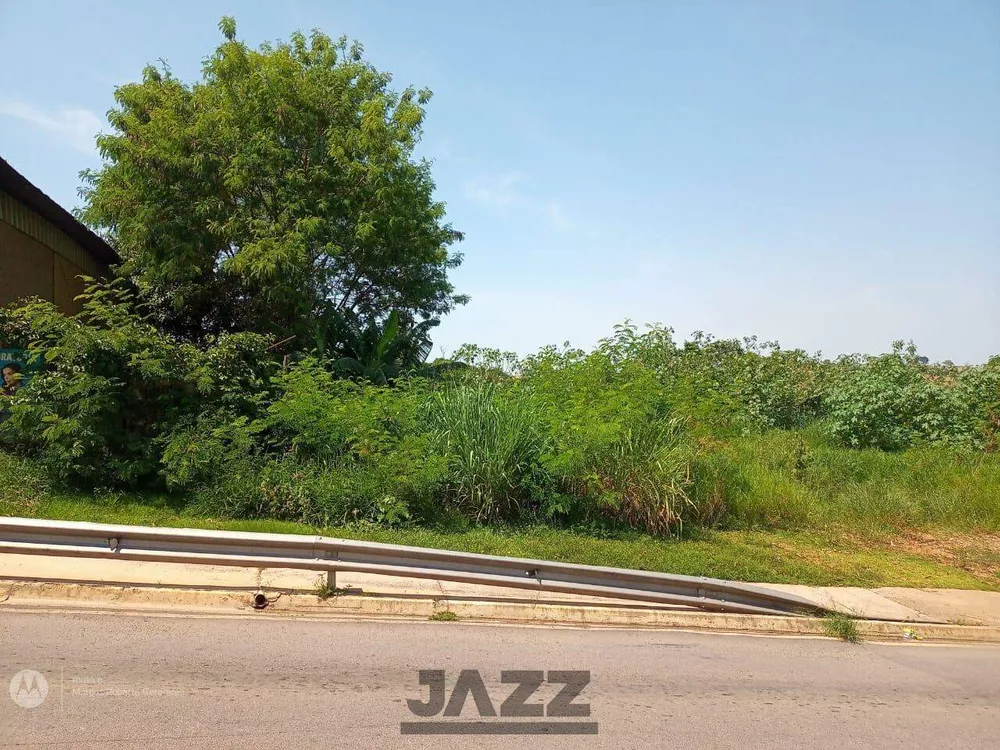 Terreno, 1 hectares - Foto 13