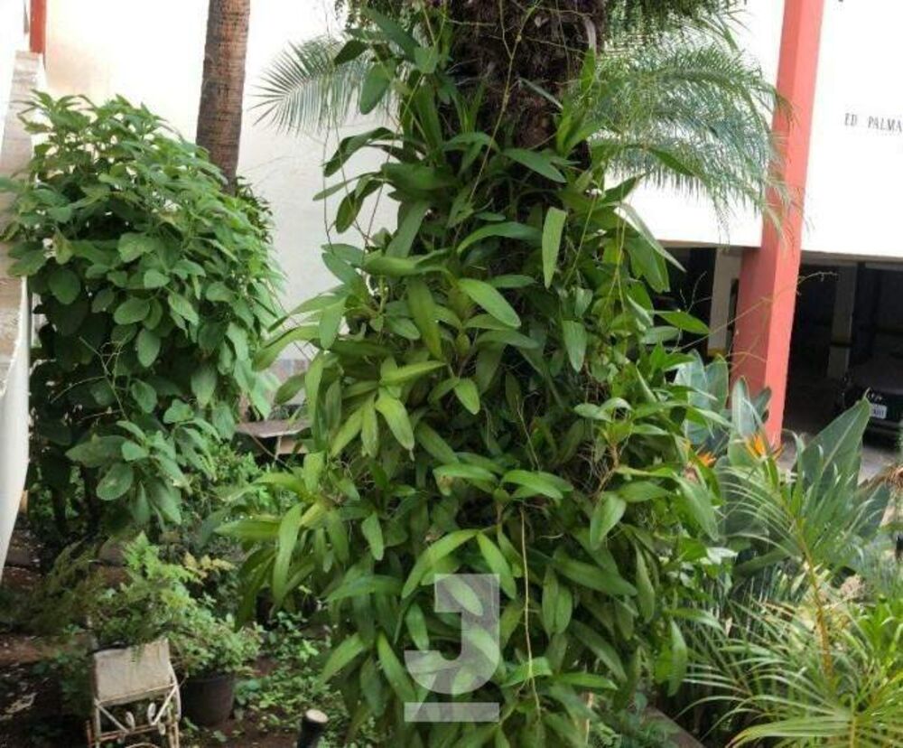 Apartamento, 2 quartos, 62 m² - Foto 3