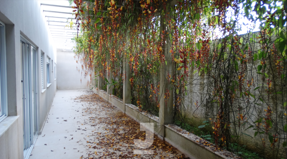 Casa de Condomínio, 7 quartos - Foto 2