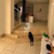 Casa, 4 quartos, 430 m² - Foto 4