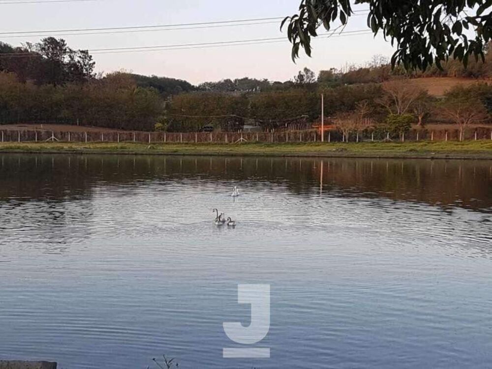 Chácara à venda com 4 quartos, 400m² - Foto 2