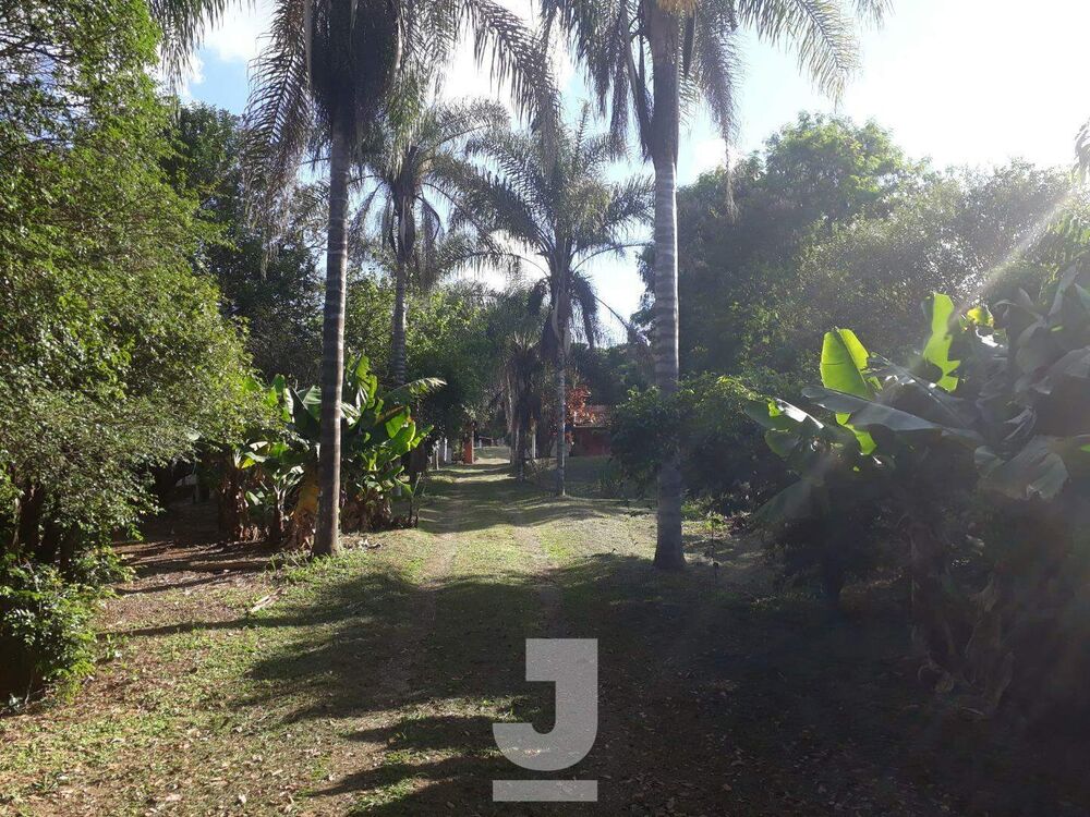 Chácara, 4 quartos, 4700 m² - Foto 4